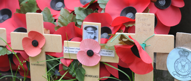 Remembrance Poppies