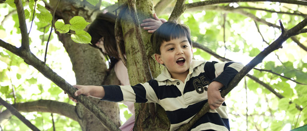 Photo: Ryan Tabor, WWT