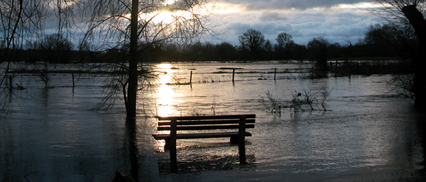 bench in flood