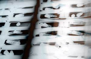 X-ray of the contents