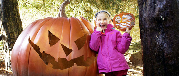Longleat's Giant Pumpkin Trail banner