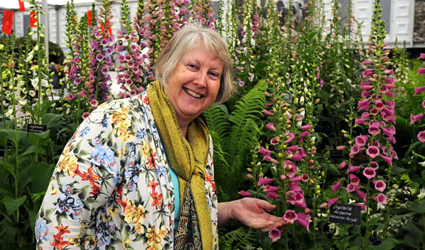 botanicChelsea2015P198