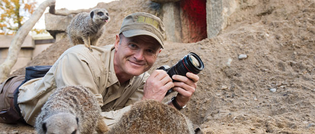 Simon King in the meerkat colony at Longleat