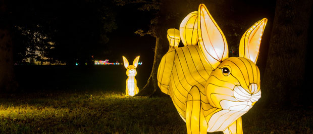 beatrix-potter-banner